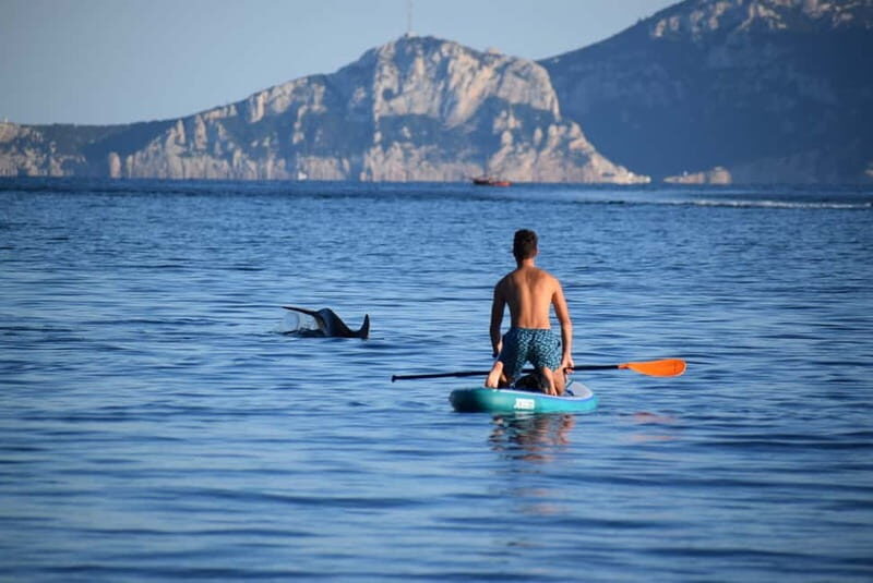 Golfo Aranci: Sup with dolphins, aperitif & photo shoot - Who Will Love This Tour?