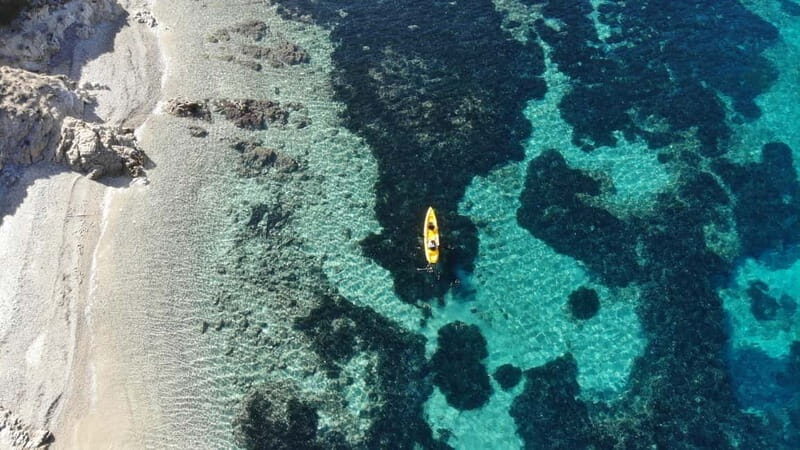 Golfo Aranci:Small group, german guided Kayak tour&Dolphins - Why This Tour is a Great Choice