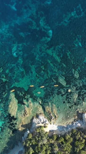 Golfo Aranci:Small group, german guided Kayak tour&Dolphins - FAQs