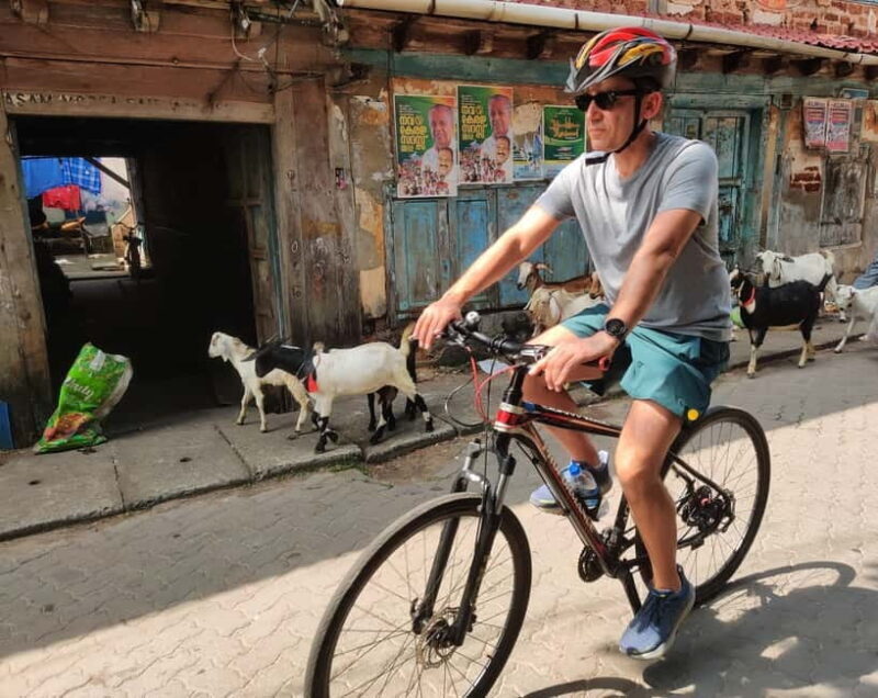 Good Morning Kochi Bicycle Tour - An Authentic Way to Explore Kochi: The Good Morning Kochi Bicycle Tour