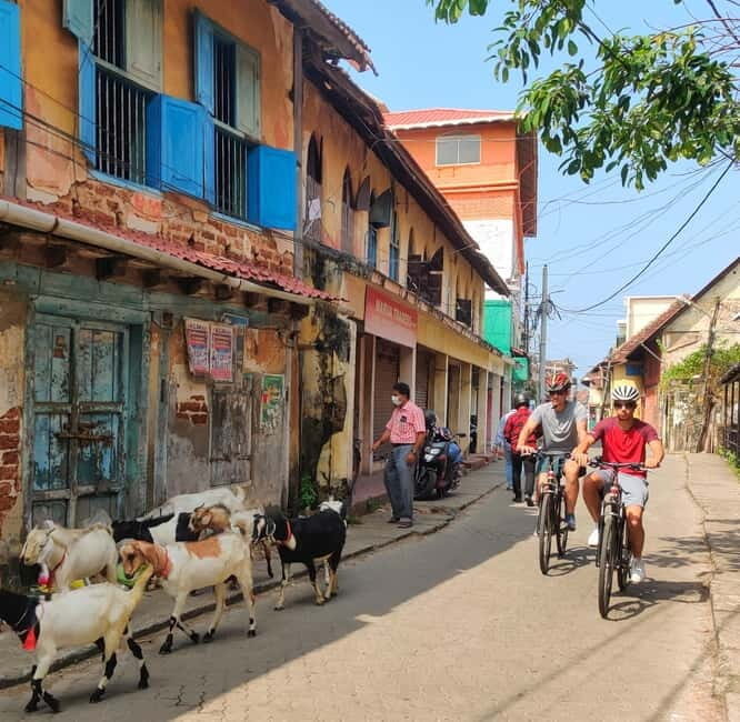 Good Morning Kochi Bicycle Tour - Frequently Asked Questions