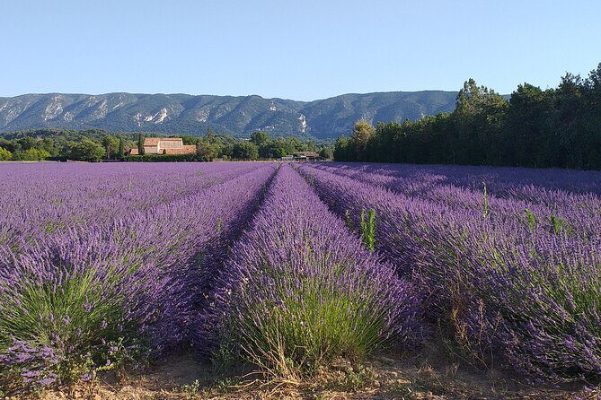 Gordes, Roussillon(+ Ochre Trail) & Fontaine de Vaucluse - The Logistics and What You’ll Get