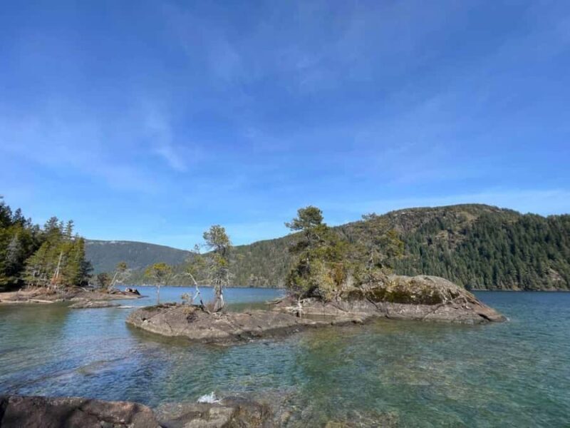 Gordon Bay: 1.5-Hour Paddleboard Tour of Gordon Bay Islands - FAQs