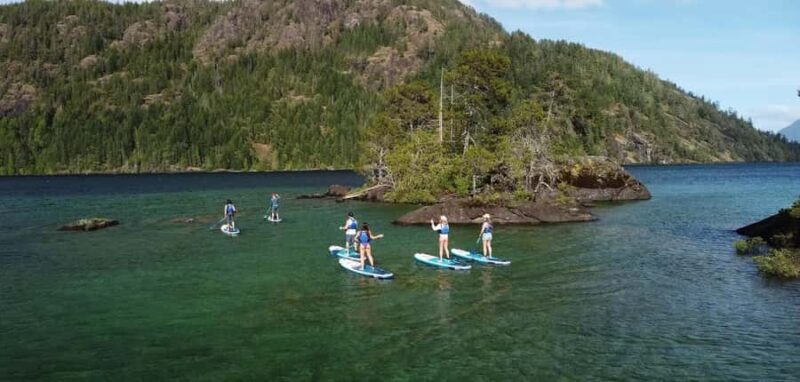 Gordon Bay: 1.5-Hour Paddleboard Tour of Gordon Bay Islands - Final Thoughts