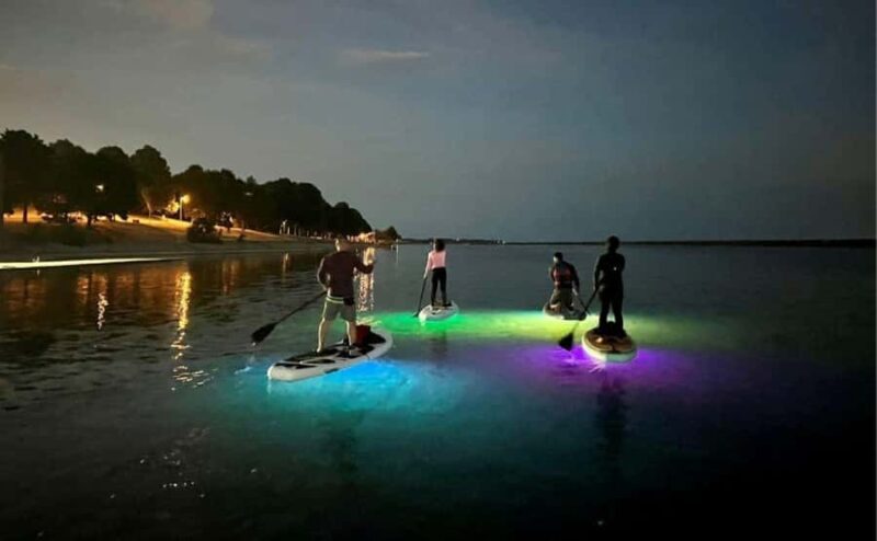 Gordon Bay: Paddleboard Glow Cruise Light & Sound Experience - What Makes This Experience Unique?