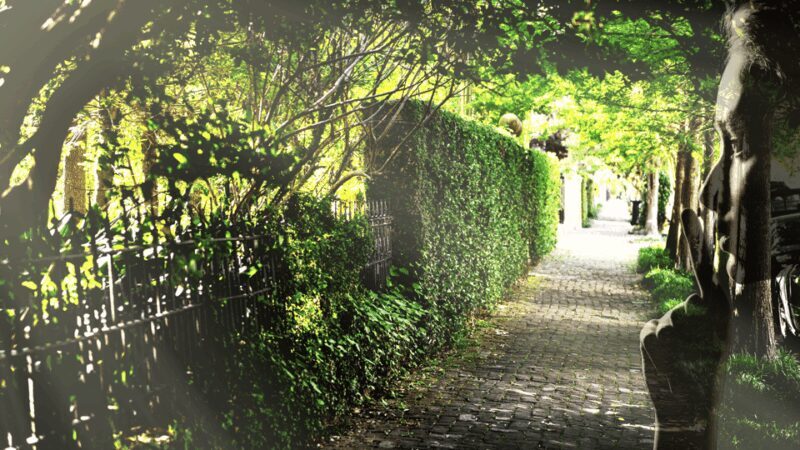 Gossip & Grandeur: A Stroll Through NOLAs Garden District - Final Thoughts: Is This Tour for You?