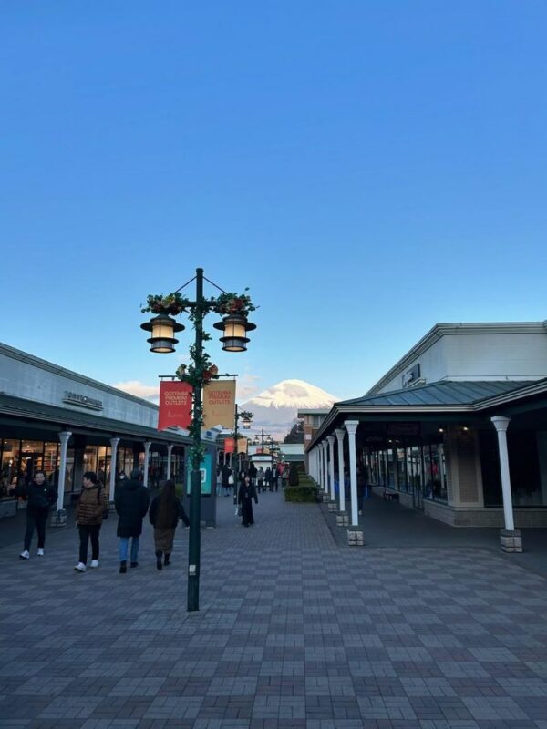 Gotemba Outlets & Hakone Private Customizable Full-Day Tour - Is $375 good value?