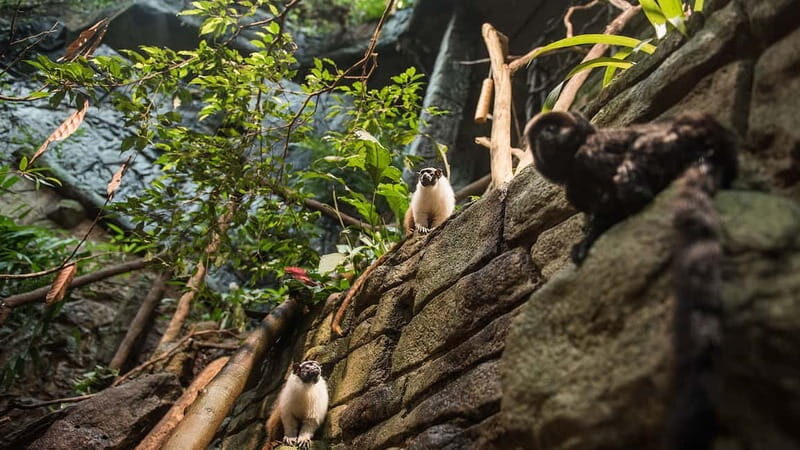 Gothenburg: Universeum Entry Ticket - An In-Depth Look at Gothenburg’s Universeum