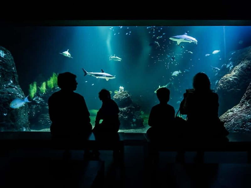 Gothenburg: Universeum Entry Ticket - Frequently Asked Questions
