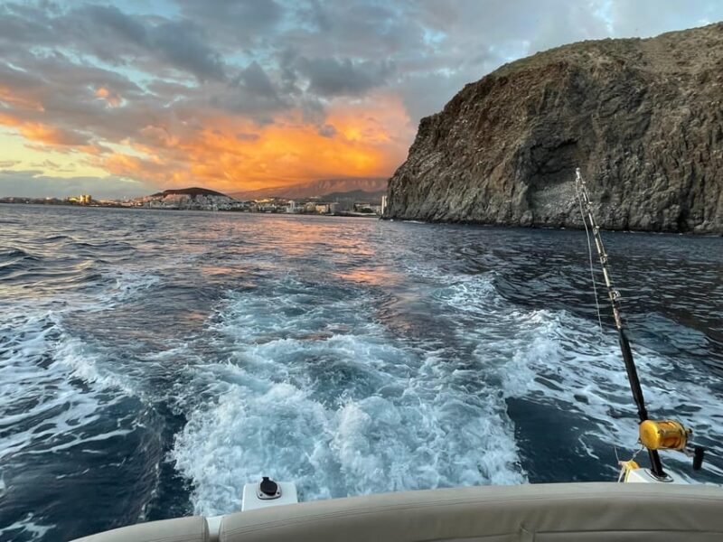 Gourmet cruise at sunset with whale watching - The Sum Up