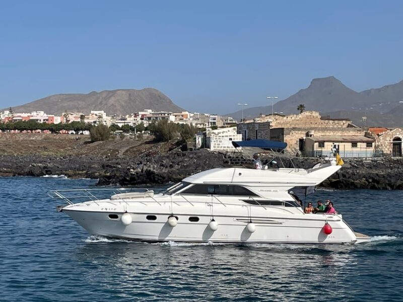 Gourmet cruise at sunset with whale watching - FAQ
