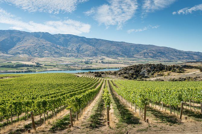 Gourmet Food and Wine Tour Queenstown All-Inclusive Tour - A Taste of Queenstown’s Wine and Heritage: The All-Inclusive Gourmet Food and Wine Tour