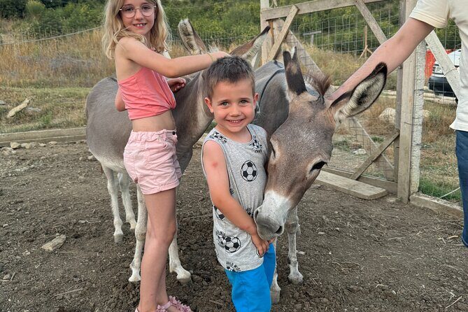 Gourmet Lunch Farm Tour with Cooking Class - Discovering Bote Farms: A Deep Dive into the Experience