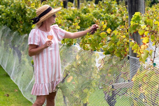 Gourmet Mystery Picnic Experience in Matakana - Key Points