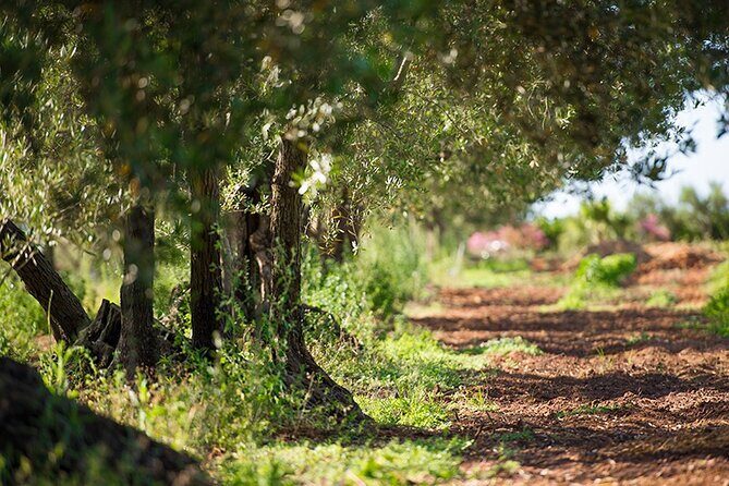 Gourmet Pizza Workshop and Wine Tasting - Key Points