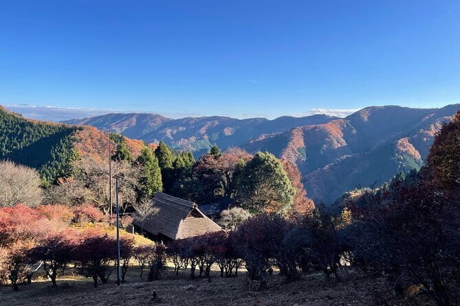 Gourmet Tour in Mountain Takao, Tokyo - The Sum Up: A Perfect Mix of Nature, Culture, and Cuisine