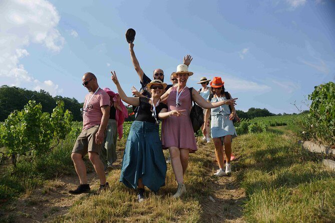 Gourmet walk in the heart of the vineyards with Champagne tasting near Epernay - A Guided Gourmet Walk in the Heart of the Vineyards Near Épernay