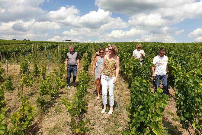 Gourmet walk in the heart of the vineyards with Champagne tasting near Epernay - A Deep Dive into the Champagne Vineyard Walk Experience