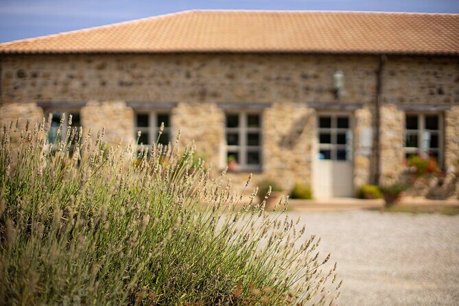 Gourmet Wine & Food Tasting - Who Will Appreciate This Experience Most?