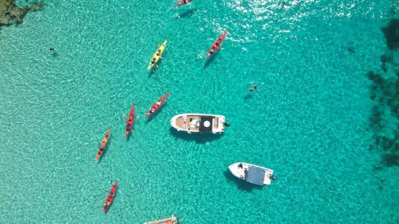 Gozo: Comino and Blue Lagoon Guided Kayaking Adventure - Key Points