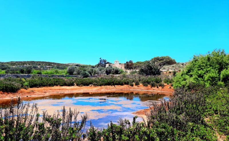 Gozo Unveiled: Guided Hiking in Comino Island - An In-Depth Look at the Comino Hiking Tour