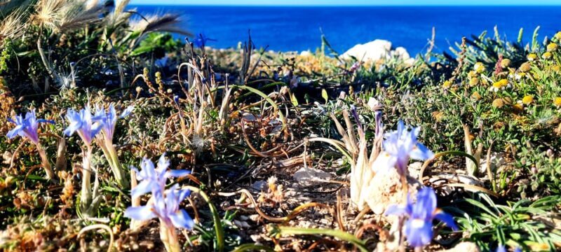 Gozo Unveiled Hiking: A Guided Hike tour in Gozo- North East - Final Thoughts