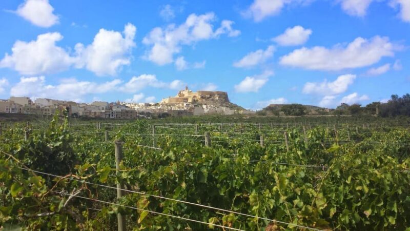 Gozo Victoria Walking Tour - Who Should Book This Tour?