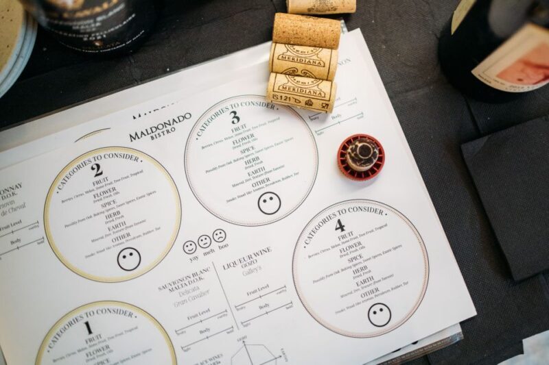 Gozo: Wine Tasting & Open Kitchen Dinner - Final Thoughts: Who Should Book This?