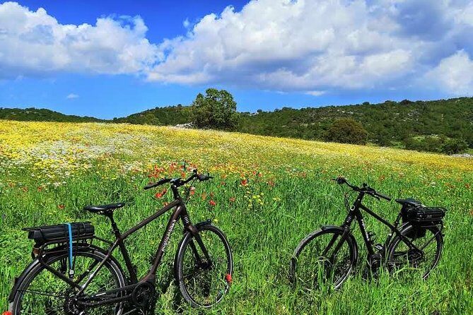 GPS self guide Alberobello and Masseria + Mozzarella and Focaccia tastings by E-bike - Who Will Appreciate This Tour?