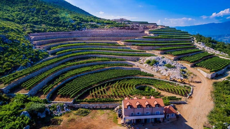 Graani: Winery Tour and Tasting at Winery Lipovac - Key Points