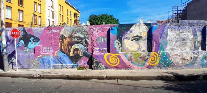 Graffiti tour with street food Tastings - Introduction: Exploring Santa Marta’s Urban Canvas and Flavors