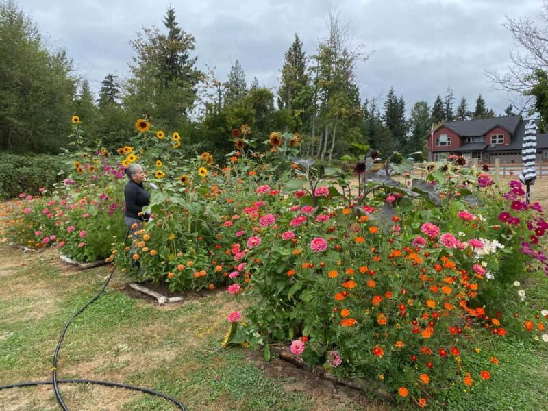 Graham: Faithful Hands' Farm Tour - What You Can Expect During the Farm Tour