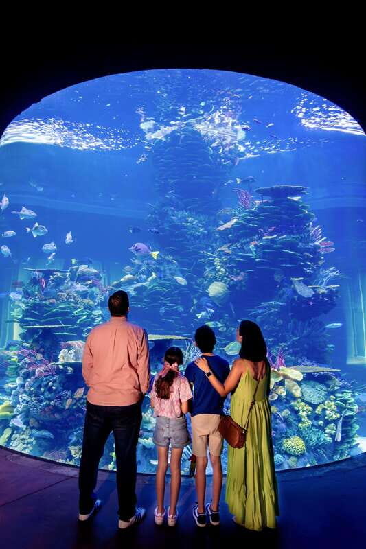 Gran Acuario Mazatlan - Gran Acuario Mazatlan: An Underwater Adventure in the Heart of Mazatlan