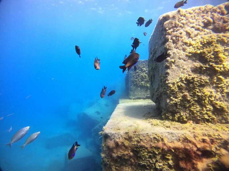 Gran Canaria: 3-Day Open Water Diver Course - Exploring the 3-Day Open Water Diver Course in Gran Canaria