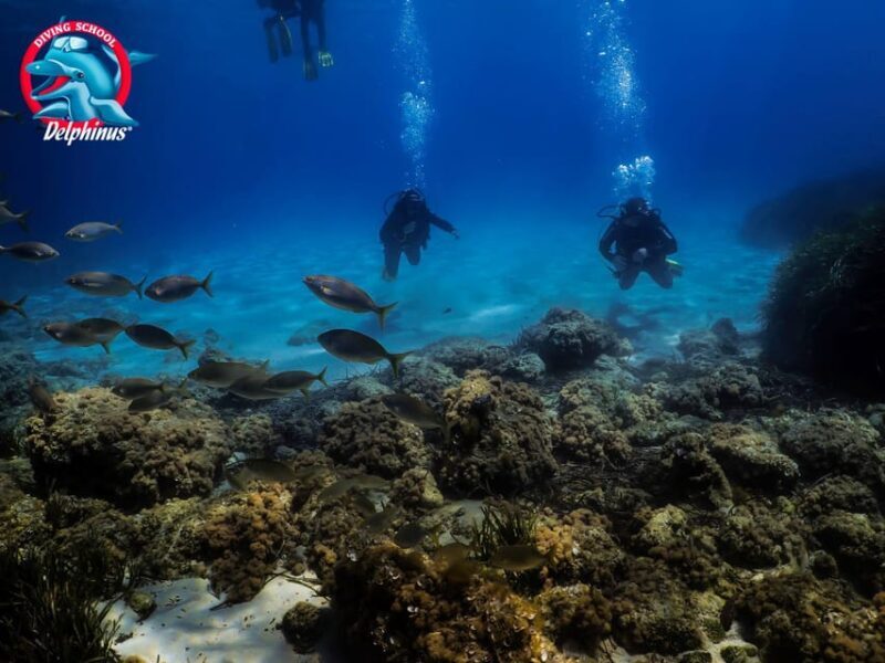 Gran Canaria: 3-Day Open Water Diver Course - Who Should Consider This Course?