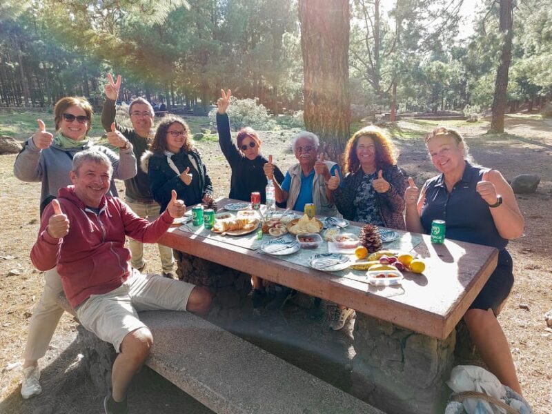 Gran Canaria 7 Highlights Small Group Tour with Tapas Picnic - Who Would Enjoy This Tour?