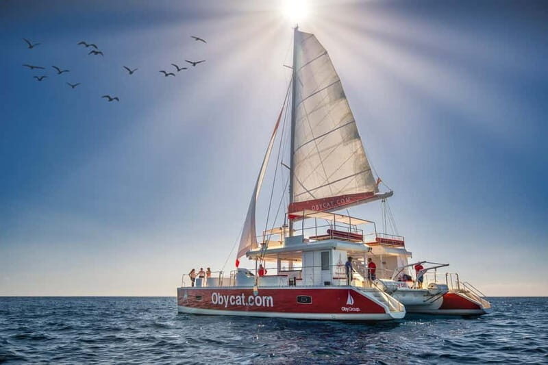 Gran Canaria: All-inclusive tour in the south of Gran Canaria - Why Travelers Love This Tour