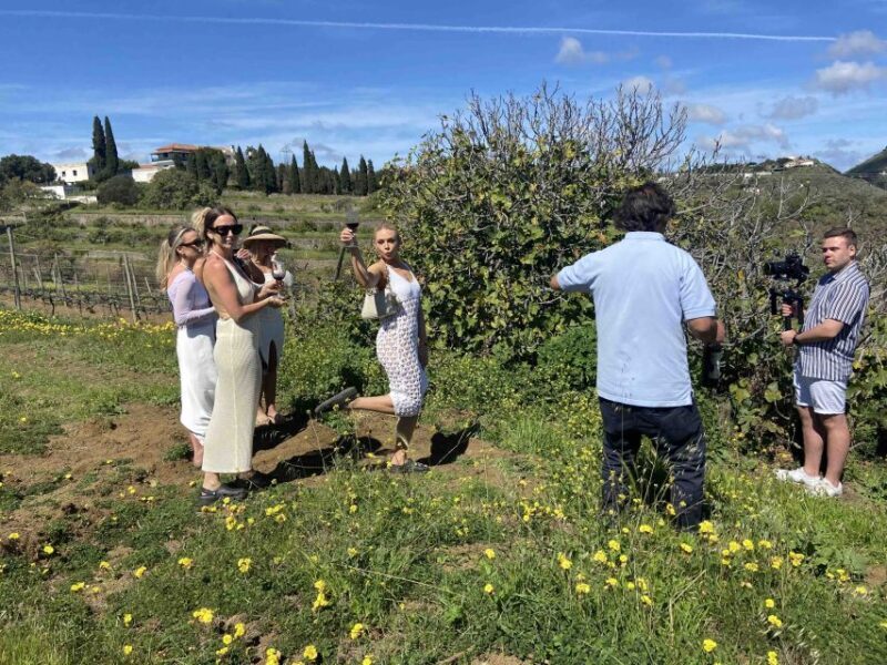 Gran Canaria: Best Wineries and Views Tour - An In-Depth Look at the Gran Canaria Wineries and Views Tour