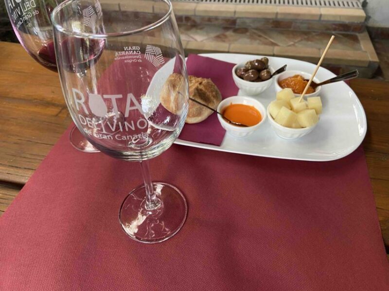 Gran Canaria: Best Wineries and Views Tour - Who is This Tour Best For?
