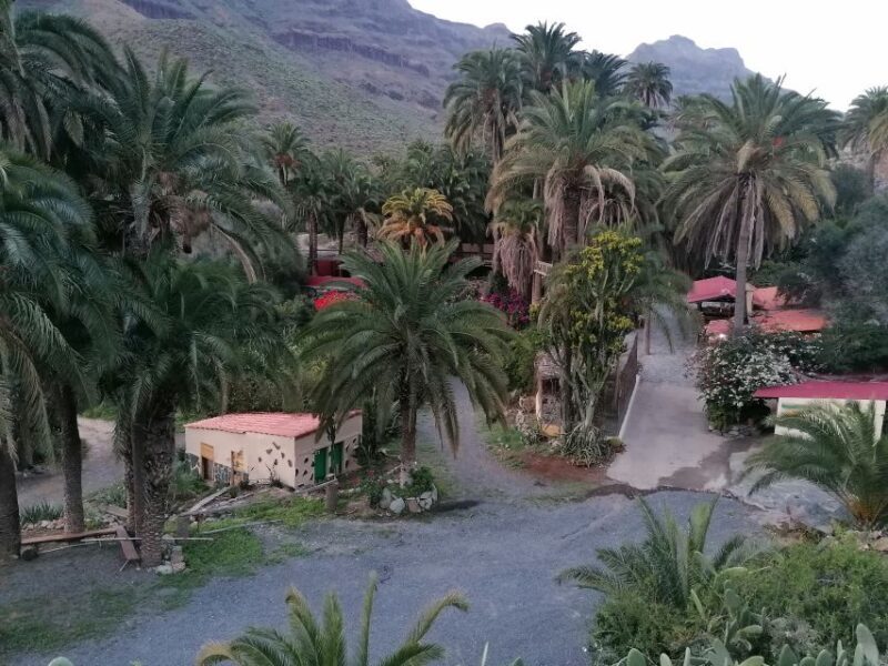 Gran Canaria: Camel Ride at Camel Safari Park - Authenticity and Value