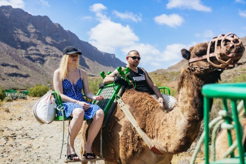 Gran Canaria: Camel Ride Safari w/ Optional Food & Transport - Gran Canaria: Camel Ride Safari with Optional Food & Transport