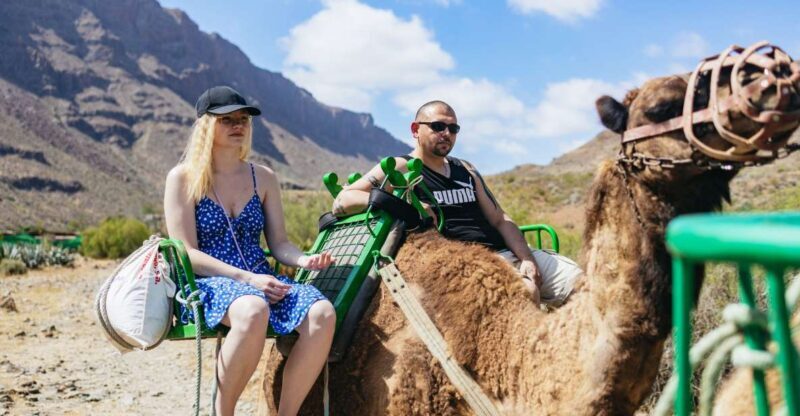 Gran Canaria: Camel Ride Safari w/ Optional Food & Transport - What You Can Expect at Each Stop