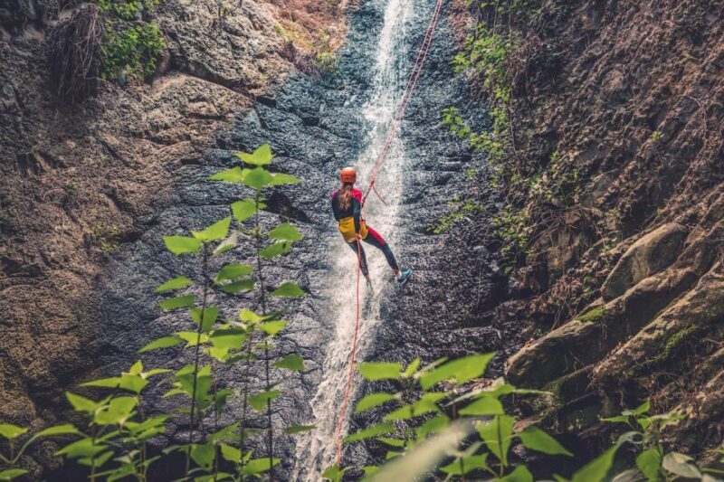 Gran Canaria: Canyoning in the Rainforest - Discovering Gran Canaria’s Wild Side: A Detailed Review