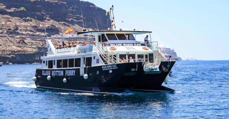 Gran Canaria: Catamaran Dolphin Watch Cruise with Snorkeling - An In-Depth Look at the Catamaran Dolphin Watch Cruise