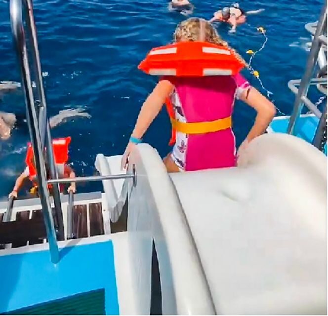 Gran Canaria: Catamaran Dolphin Watch Cruise with Snorkeling - Final Thoughts