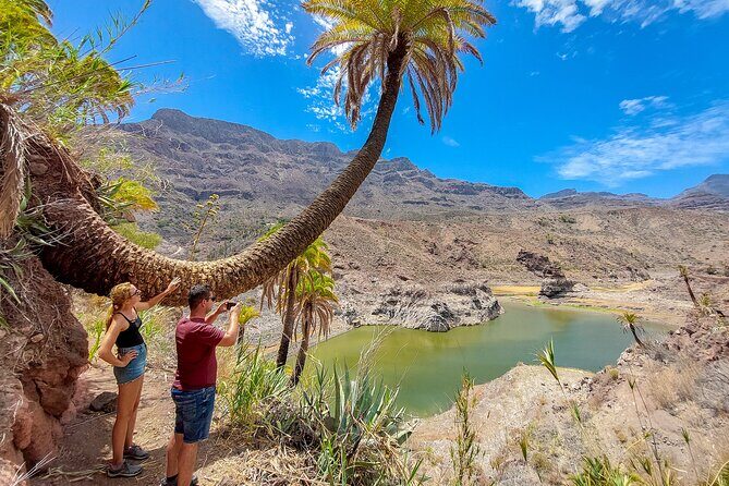 Gran Canaria Cave, Oasis, Red-gorge Adventure & cosy Picnic - Who Should Consider This Tour?