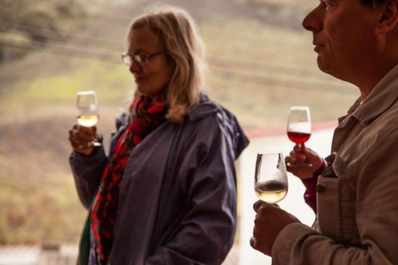 Gran Canaria: Customizable Private Tour - Exploring Gran Canaria: A Customizable Private Tour