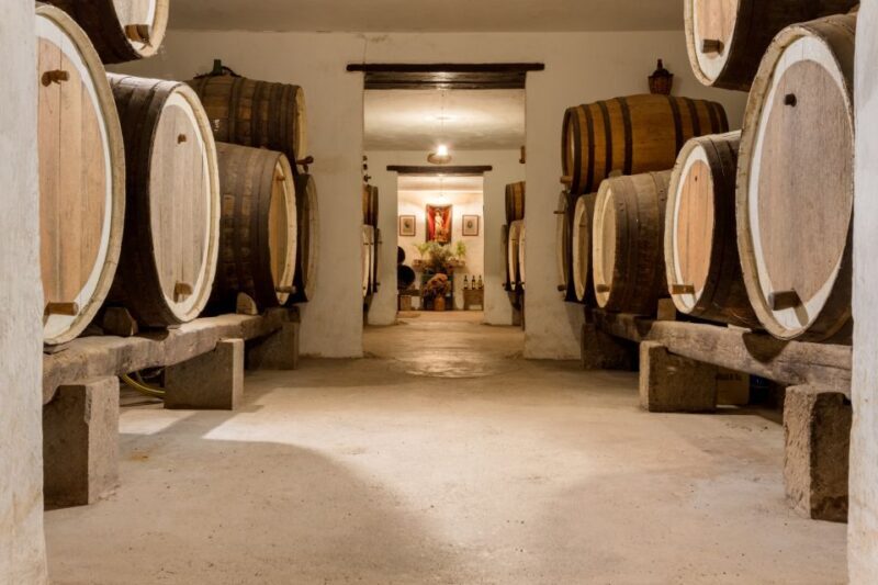 Gran Canaria: Customizable Private Tour - Who Would Enjoy This Tour?