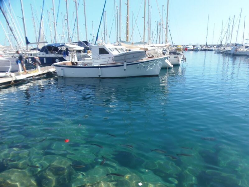 Gran Canaria: Customizable Private Tour - Frequently Asked Questions