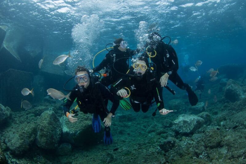 Gran Canaria: Discover Scuba Diving Beginner Program - What to Expect During the Tour